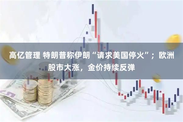 高亿管理 特朗普称伊朗“请求美国停火”；欧洲股市大涨，金价持续反弹