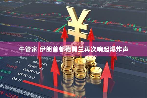 牛管家 伊朗首都德黑兰再次响起爆炸声