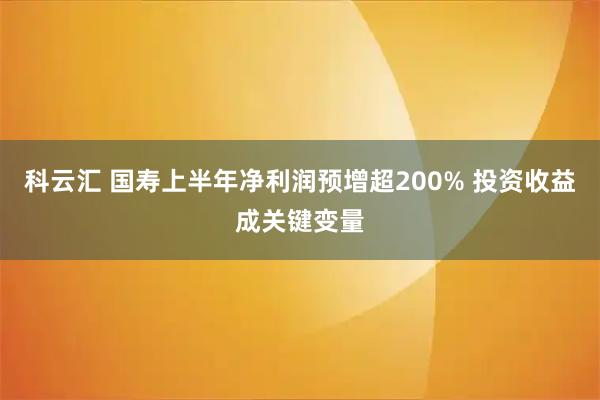科云汇 国寿上半年净利润预增超200% 投资收益成关键变量
