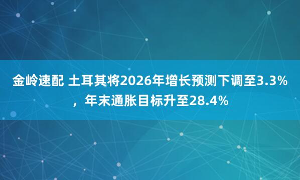 金岭速配 土耳其将2026年增长预测下调至3.3%，年末通胀目标升至28.4%